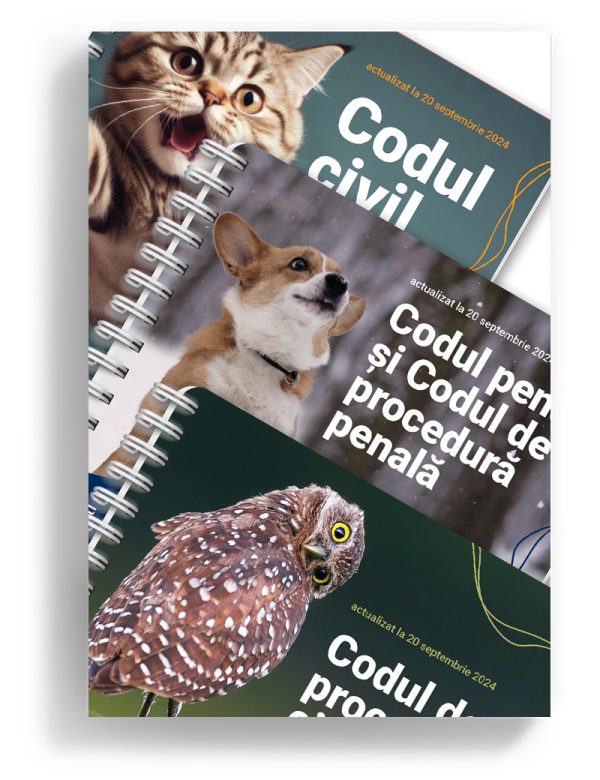 pachet coduri 2024 editura solomon